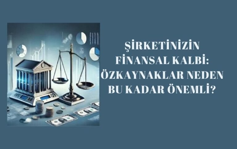 Şirketinizin Finansal Kalbi: Özkaynaklar Neden Bu Kadar Önemli?